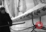 Image of Gdynia harbor Poland, 1959, second 29 stock footage video 65675041632