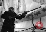 Image of Gdynia harbor Poland, 1959, second 30 stock footage video 65675041632