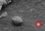 Image of football match Princeton New Jersey USA, 1951, second 39 stock footage video 65675041644