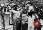 Image of Sultan Morocco North Africa, 1953, second 26 stock footage video 65675041645