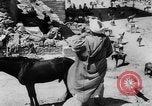 Image of Sultan Morocco North Africa, 1953, second 37 stock footage video 65675041645
