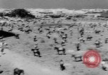 Image of Sultan Morocco North Africa, 1953, second 39 stock footage video 65675041645