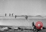Image of Operation Camargue Vietnam, 1953, second 29 stock footage video 65675041648
