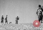 Image of Operation Camargue Vietnam, 1953, second 30 stock footage video 65675041648