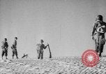 Image of Operation Camargue Vietnam, 1953, second 31 stock footage video 65675041648