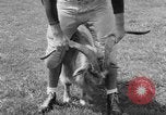 Image of Naval Academy Annapolis Maryland USA, 1953, second 6 stock footage video 65675041650