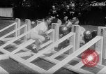 Image of Naval Academy Annapolis Maryland USA, 1953, second 11 stock footage video 65675041650