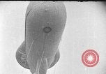 Image of Blimp United States USA, 1925, second 33 stock footage video 65675041661