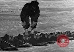 Standbild Navion Ebene Kanada, 1951, aus Sekunde 59 historischem Filmmaterial Videoclip 65675041666