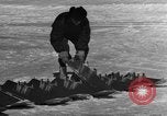 Standbild Navion Ebene Kanada, 1951, aus Sekunde 61 historischem Filmmaterial Videoclip 65675041666