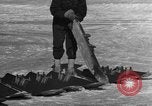 Standbild Navion Ebene Kanada, 1951, aus Sekunde 62 historischem Filmmaterial Videoclip 65675041666