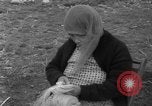 Image of Alaska survey expedition Alaska USA, 1932, second 4 stock footage video 65675041672