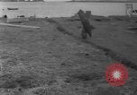 Image of Alaska survey expedition Alaska USA, 1932, second 22 stock footage video 65675041672