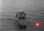 Image of Alaska survey expedition Alaska USA, 1932, second 29 stock footage video 65675041672
