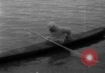 Image of Alaska survey expedition Alaska USA, 1932, second 52 stock footage video 65675041672