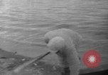 Image of Alaska survey expedition Alaska USA, 1932, second 60 stock footage video 65675041672