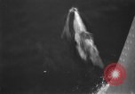 Image of Booth Fishery Company Alaska USA, 1932, second 36 stock footage video 65675041673