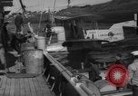 Image of Alaska survey expedition Alaska USA, 1932, second 16 stock footage video 65675041675