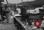 Image of Alaska survey expedition Alaska USA, 1932, second 17 stock footage video 65675041675