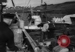 Image of Alaska survey expedition Alaska USA, 1932, second 36 stock footage video 65675041675