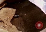 Image of Vietcong attack Vietnam, 1965, second 31 stock footage video 65675041707