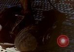 Image of Vietcong attack Vietnam, 1965, second 45 stock footage video 65675041711