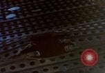 Image of Vietcong attack Vietnam, 1965, second 49 stock footage video 65675041711