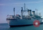 Image of 1st Infantry Division in Vietnam Vietnam, 1965, second 49 stock footage video 65675041713