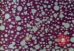 Immagine di Reattore nucleare United States USA, 1967, secondo 7 filmato di repertorio 65675041725