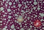 Immagine di Reattore nucleare United States USA, 1967, secondo 17 filmato di repertorio 65675041725