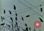 Immagine di Reattore nucleare United States USA, 1967, secondo 23 filmato di repertorio 65675041728