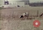 Immagine di Impianto nucleare United States USA, 1967, secondo 33 filmato di repertorio 65675041729