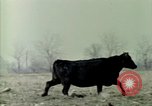 Immagine di Impianto nucleare United States USA, 1967, secondo 40 filmato di repertorio 65675041729