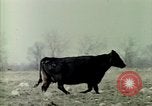 Immagine di Impianto nucleare United States USA, 1967, secondo 41 filmato di repertorio 65675041729