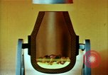 Standbild Inland Steel Company Chicago Illinois USA, 1967, aus Sekunde 57 historischem Filmmaterial Videoclip 65675041733