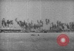 Immagine di Della Guardia Costiera degli Stati Uniti Tarawa Isole Gilbert, 1943, secondo 45 filmato di repertorio 65675041746