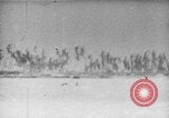 Immagine di Della Guardia Costiera degli Stati Uniti Tarawa Isole Gilbert, 1943, secondo 47 filmato di repertorio 65675041746