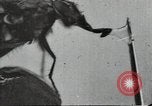 Image of mining villages United States USA, 1915, second 17 stock footage video 65675041753