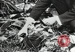 Image of mining villages United States USA, 1915, second 15 stock footage video 65675041754