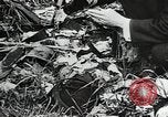Image of mining villages United States USA, 1915, second 16 stock footage video 65675041754