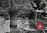 Image of mining villages United States USA, 1915, second 21 stock footage video 65675041754