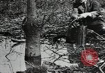 Image of mining villages United States USA, 1915, second 25 stock footage video 65675041754