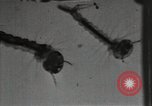 Image of mining villages United States USA, 1915, second 48 stock footage video 65675041754