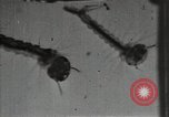 Image of mining villages United States USA, 1915, second 49 stock footage video 65675041754