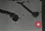 Image of mining villages United States USA, 1915, second 50 stock footage video 65675041754