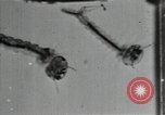 Image of mining villages United States USA, 1915, second 52 stock footage video 65675041754
