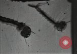 Image of mining villages United States USA, 1915, second 53 stock footage video 65675041754