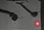 Image of mining villages United States USA, 1915, second 54 stock footage video 65675041754