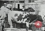 Image of mining town in United States early 1900s United States USA, 1915, second 8 stock footage video 65675041755