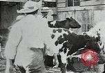Image of mining town in United States early 1900s United States USA, 1915, second 9 stock footage video 65675041755